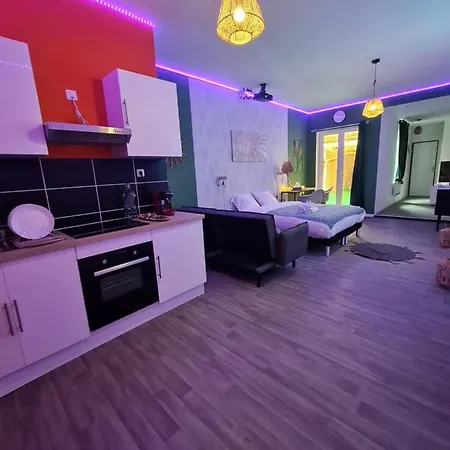 Apartment Ng Prestige - Lille I Centre - 121 - Balneo - Kitchenette - Terrasse - Wifi - Netflix Roubaix